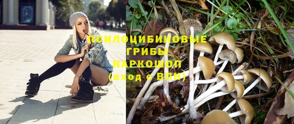меф Алексин