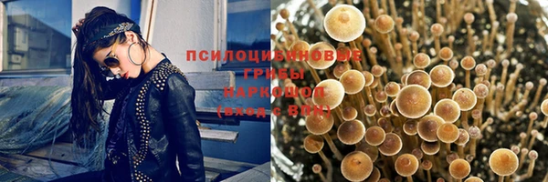 стафф Алексеевка