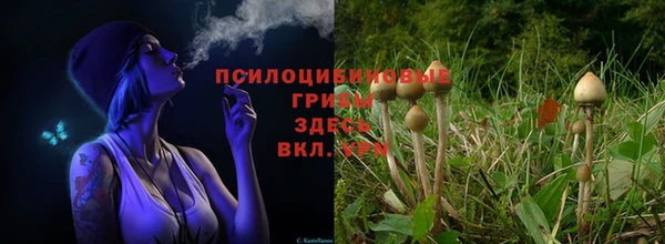 стафф Алексеевка
