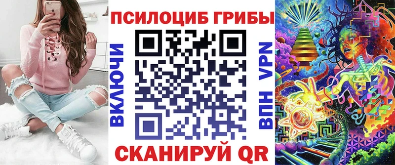 Галлюциногенные грибы Psilocybe  где купить наркотик  Сим 